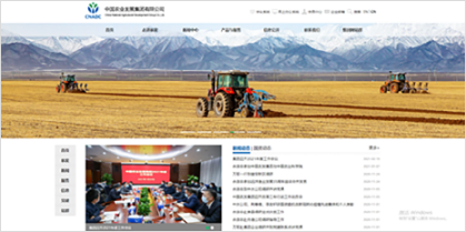 中国农业发展集团